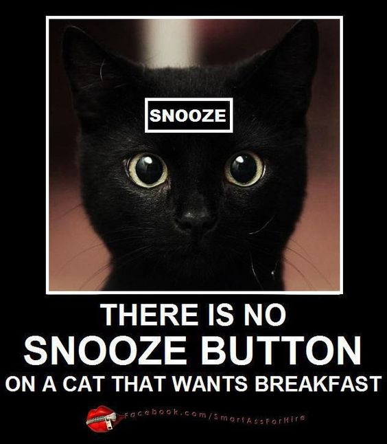 726c36314b6d2036686401364b813106