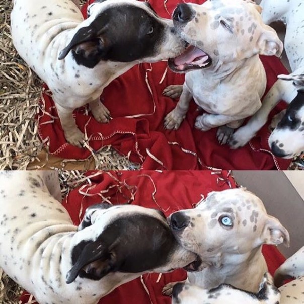 50a1e4958db04034974b7a02a2dd22ef