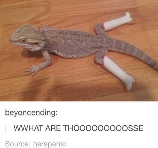 729808512a40b2c01f63f2a556e22647