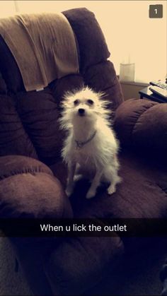 74c8bf251e690aa9d5e1662e7e1fe958