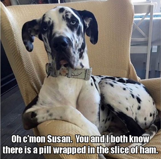 dd9eb672985225ec8d38a6a96f478a8a