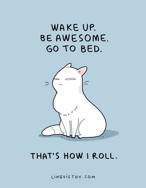 3cf742ae140ec9fb57979270c45529f0