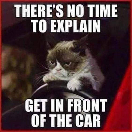 6f05e7c88f1b49b6029364d57d522ac3