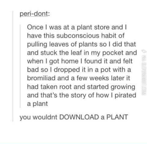 7175a56a3070d7baa92b1f2fab1fc88c