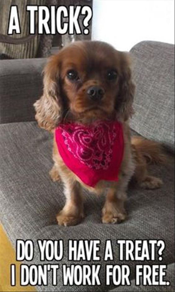 acc299ca42f62ec5644e847ea41e5010