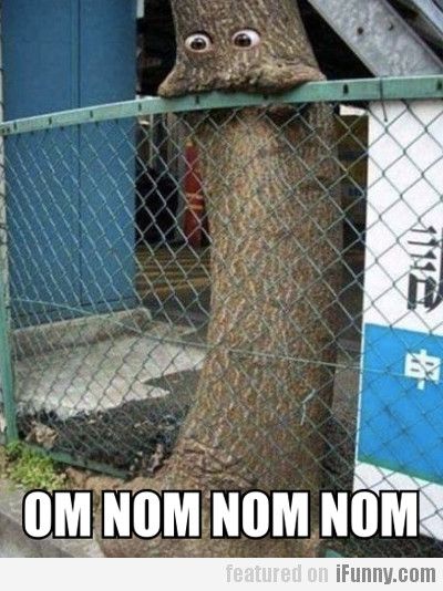 dfe9078cfee1458951d8bc16dbca31bb