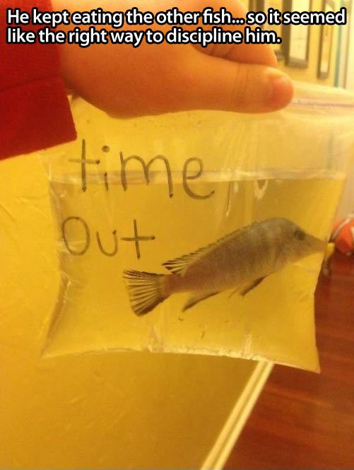 e16fda869ae733ede56712dbabc58515