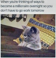 f1543da37973c1c7aa52c8ee02e97423