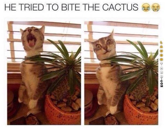 f40bc5ee33e580db0c9aa32998583a8f