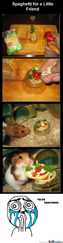 tumblr_inline_nnl1k3nl521qgcmts_540