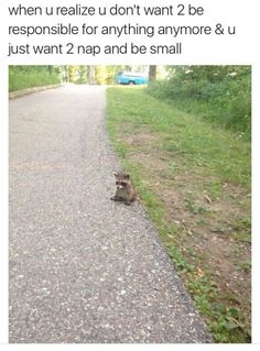 09801b764a7614b01c57fd8814f72ff5