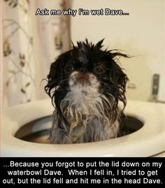 05c84f5c421bd0908c836f2a2e213751