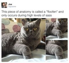 60152909dd924e0cae8f21afdeb46e5c