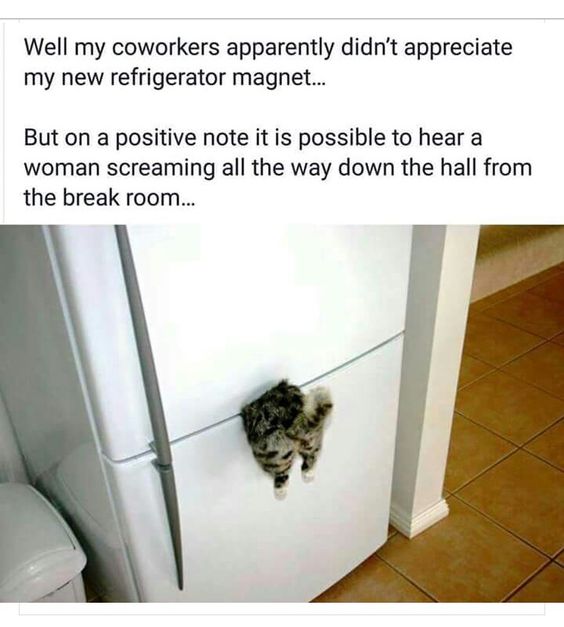 ea266bc09ddd76b3b8a67ad87dabb5de