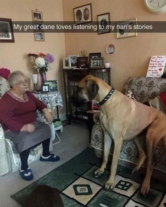 f08c2bbd5964a1dc02d5857260762e29