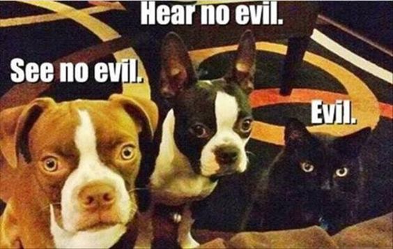 Evil | Deep Fried Bits