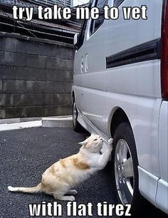 a3c7e178b6d196f5838a034bfa07d3a0