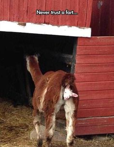 e6413cbc60fdb9dc602799ec9c2ea9dc