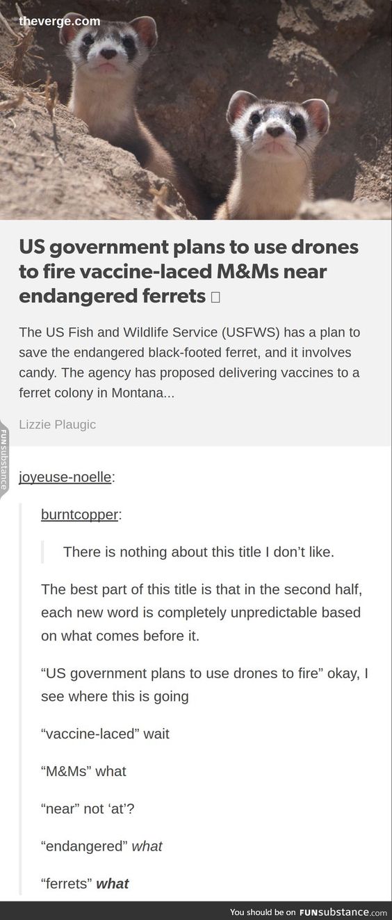 d32e722af42a49f1b47a3c0630ff451f