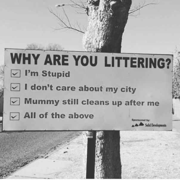 3Q2eon0f0ezZoY9kINQy_IYMP1N2j1qhDwokj2wO_08