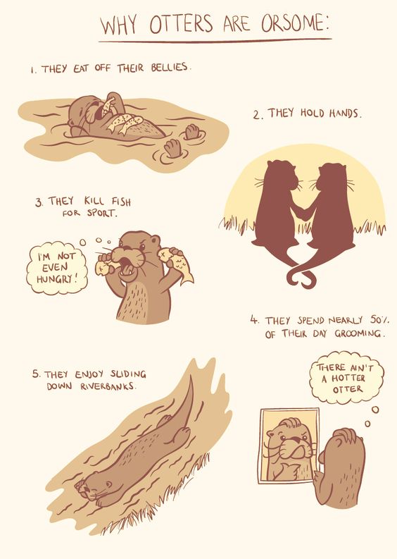 d0f97f9f9a4e674ac226813b35710445