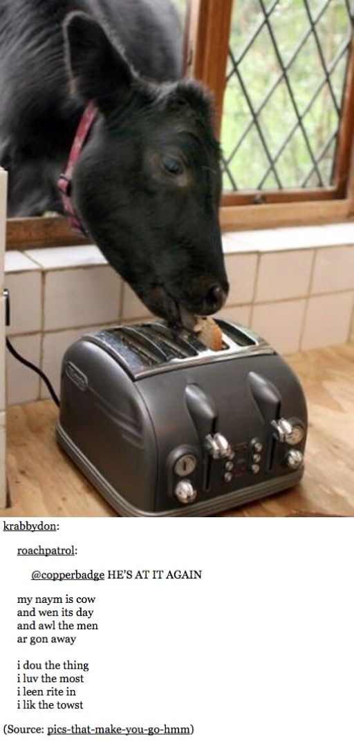 b81130d3f344b3bf4b6fdfc70b7c5bf0