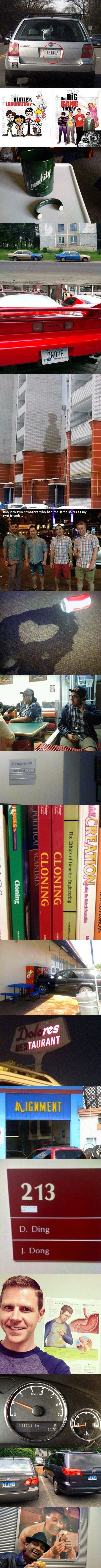 1f90b0d109d20f1c5ec38e6ee24dafdf