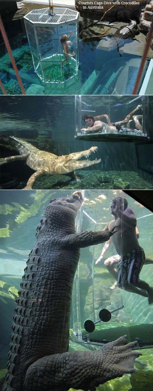 599c98baf8d3a759f32f29b285a861d4