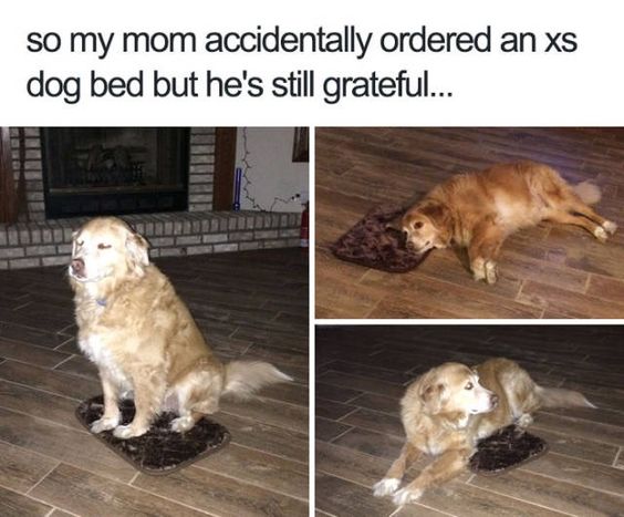 6ba43a8403d2f4d8fb179d603fafa798