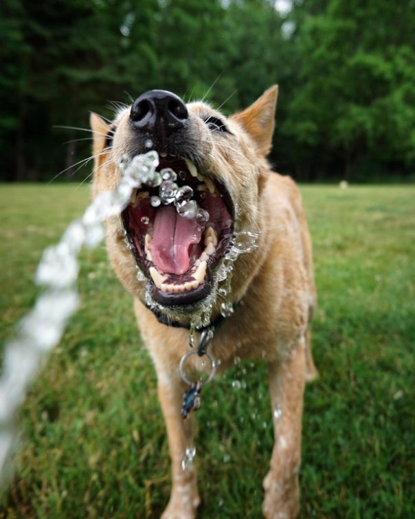 tnG10GtLLMTXJojCJ4ymBgm4TiaFEYwR3YF6Tg4oIuI