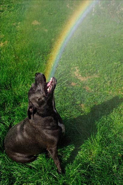 a5ead589-cfd4-40ee-9cad-6bda5fde61c0