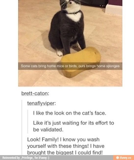 e7e98bcb7fd86f0d83528c70bd70605d