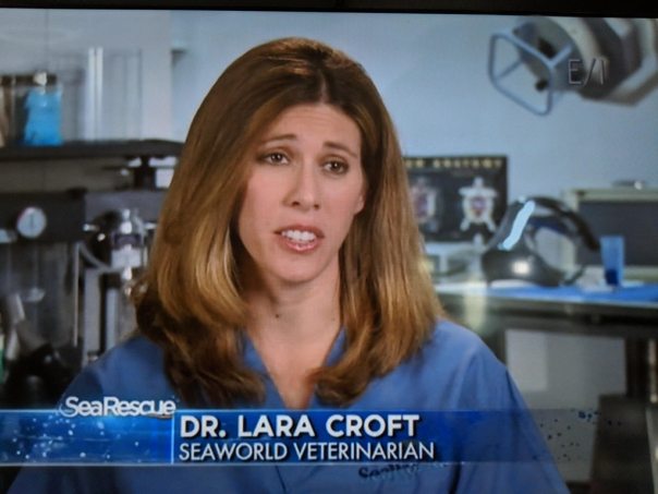 6o__sbUkDRq6a37cFfp2FIYHrBRF5qo_X5gkxlVG7cg