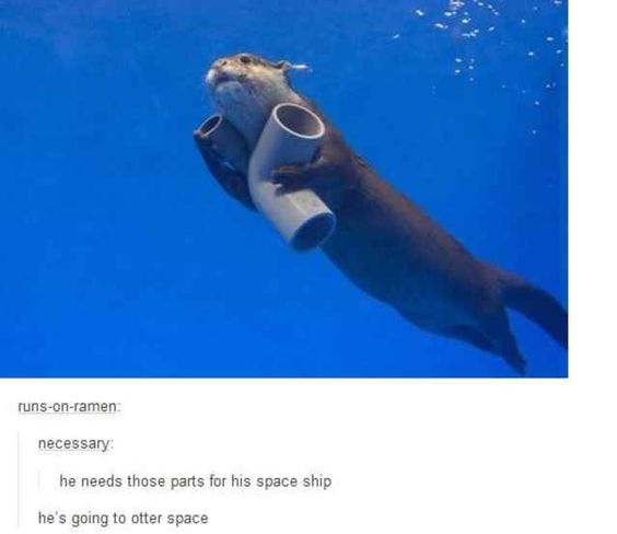 113d84243c7ba04eb11ae9b2f606f53e