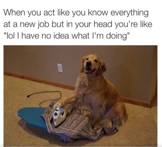 5eae902e2d5269f3caa61cfb2184896c