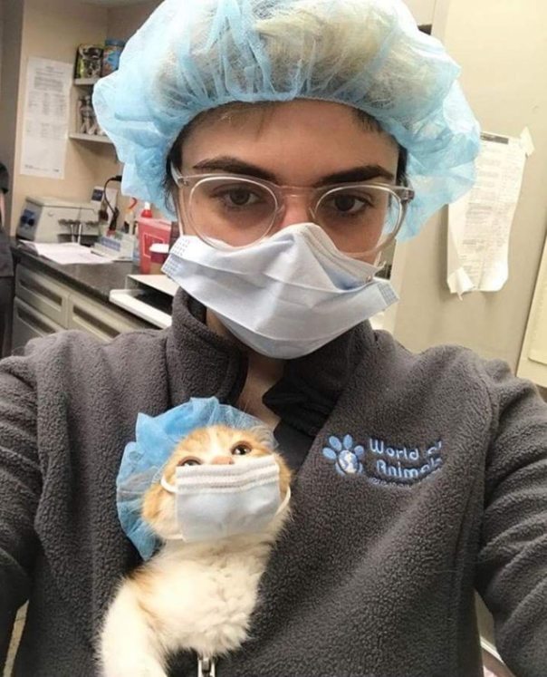 8TDigLiBG-kGCLPAXWvpzrk7xVOelB0Nfep5ukCDFV4 (1)