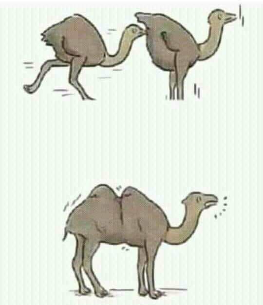 hMRHzn7Y1IwZ6RiWFn_4H_rN8TfnbhD0SxUc4V1JDbI