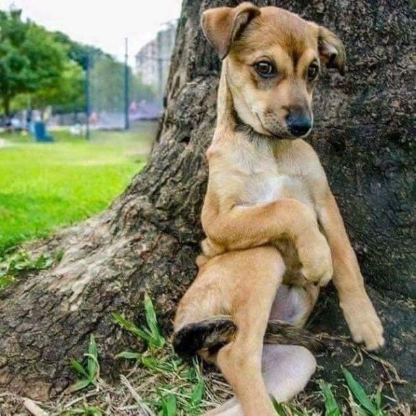 LwsGZml1s5xVtYC-oMOhKZVqbGzNNF_vyW-tVdjbeRM