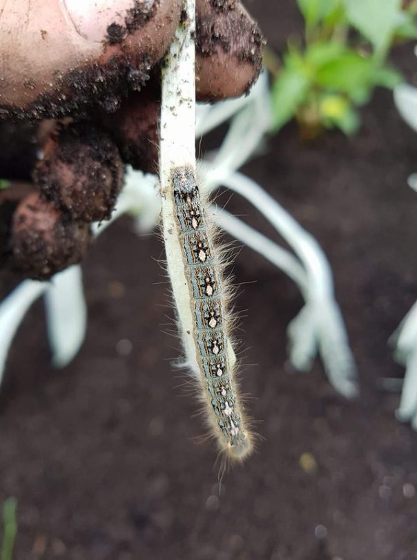 Z5Yyd9JqHAVp4vzv2FXx2zvdmwLKU1HH3KuH4hYwZHc