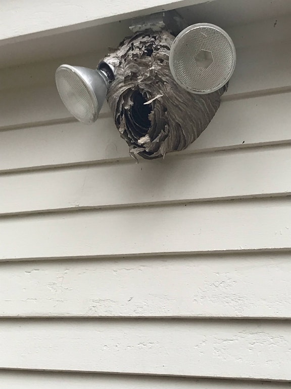 ZWKOyjqofVRGDF4JKwQfKhxMjAkiobjVET_DI6Ag-kQ