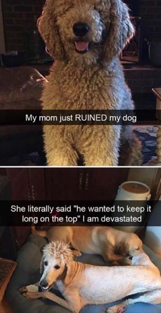 91b911a45171b1e3cf4c93cd9916bb09 (1)