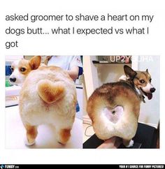 a18c990a81150da85dcb04bc94f1b3b2