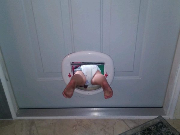 daily-afternoon-randomness-49-photos-25293 (1)