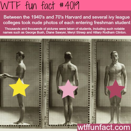 065f9dc29f7c3e928352087748ef133a