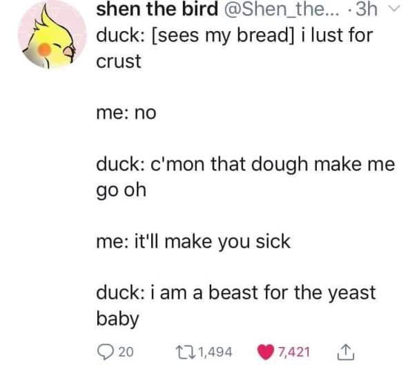 FB_IMG_1560622236621