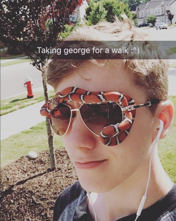 5da62a651fcee94ebaeac51f8bb19529